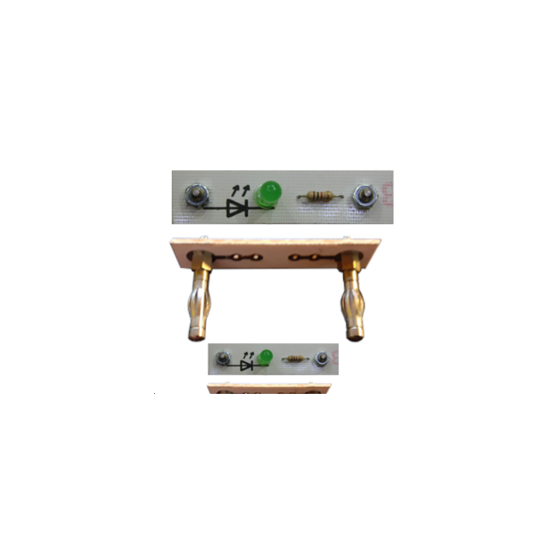 Les 2 modules DELS supplémentaires Les 2 modules DELS supplémentaires