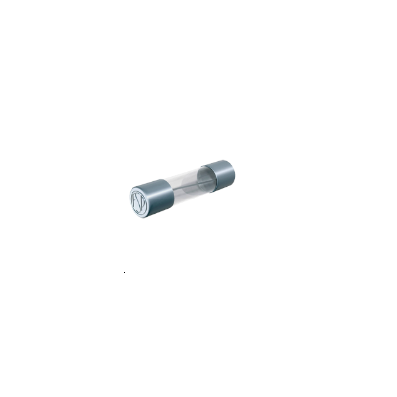 Fusible 5x20 Rapide 125mA 250V Verre