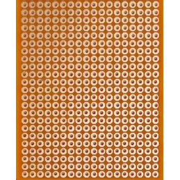 Véroboard à pastilles 50 X 100mm