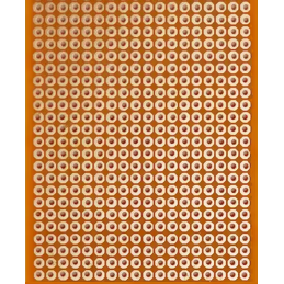 Véroboard à pastilles 200 X...