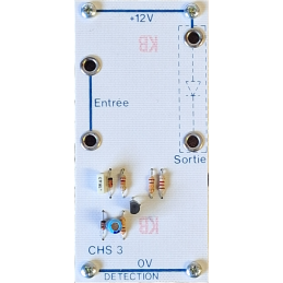 Module CHS3 pour CHAISON