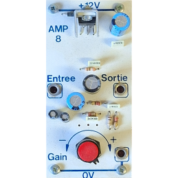 Module Amplificateur 8W