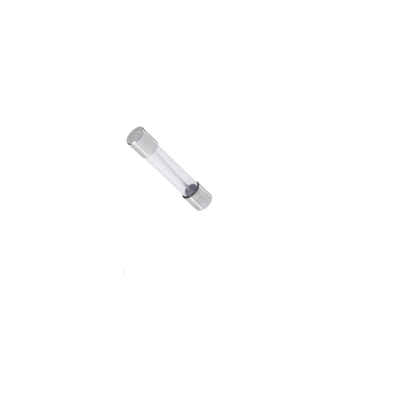 Fusible 5x20 Temporisé 8A 250V  Verre